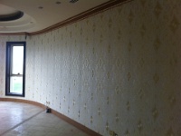 villa  (152)